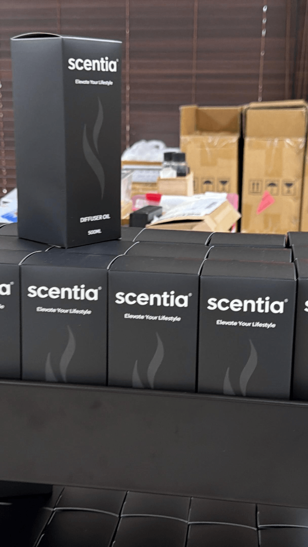 Black boxes labeled 'Scentia' arranged on a table, with a larger box behind them, in a room with cardboard boxes and supplies.