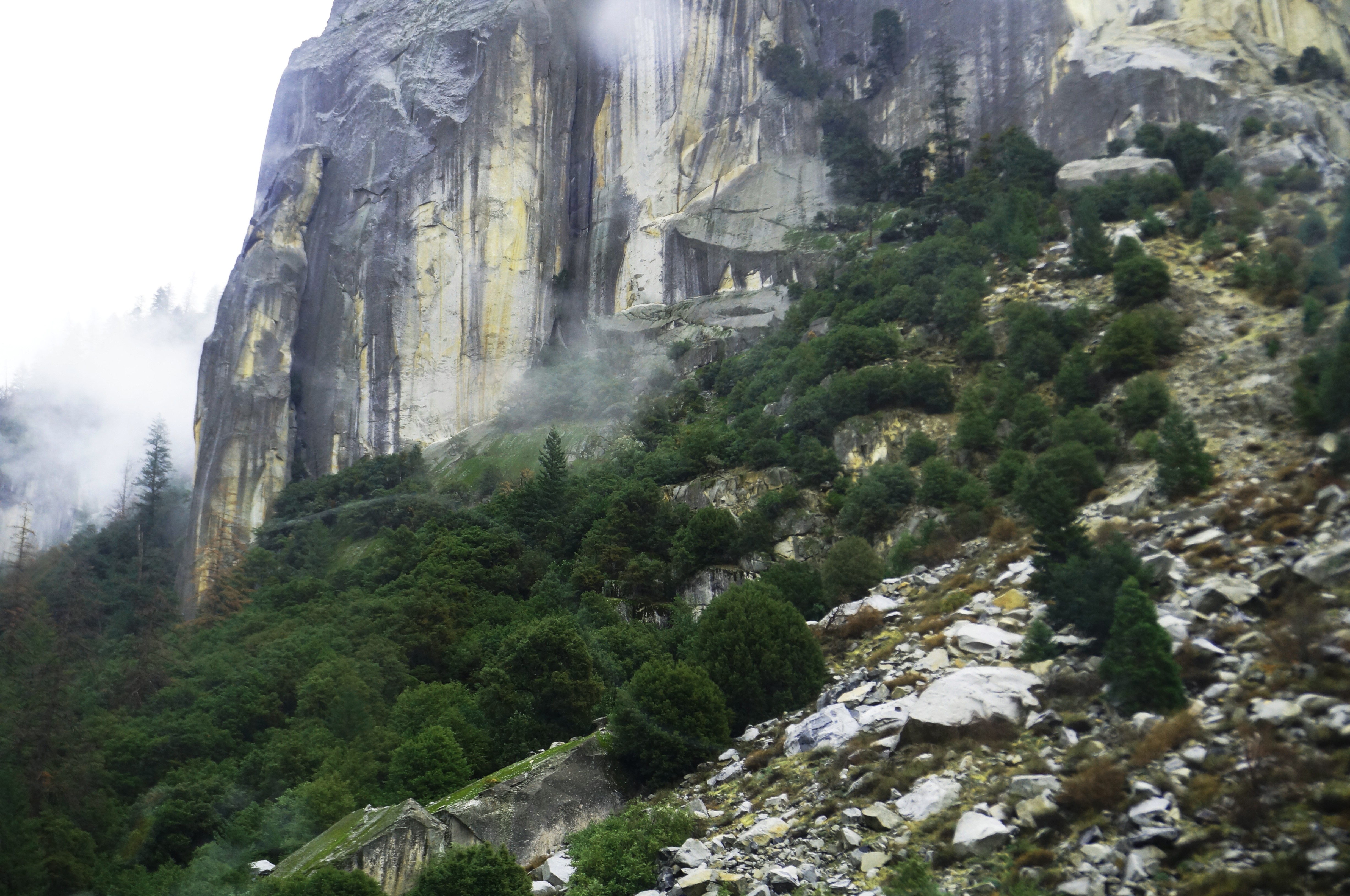 Cliff face with trees and rocks at the base, mist and clouds in the background, natural landscape scene.