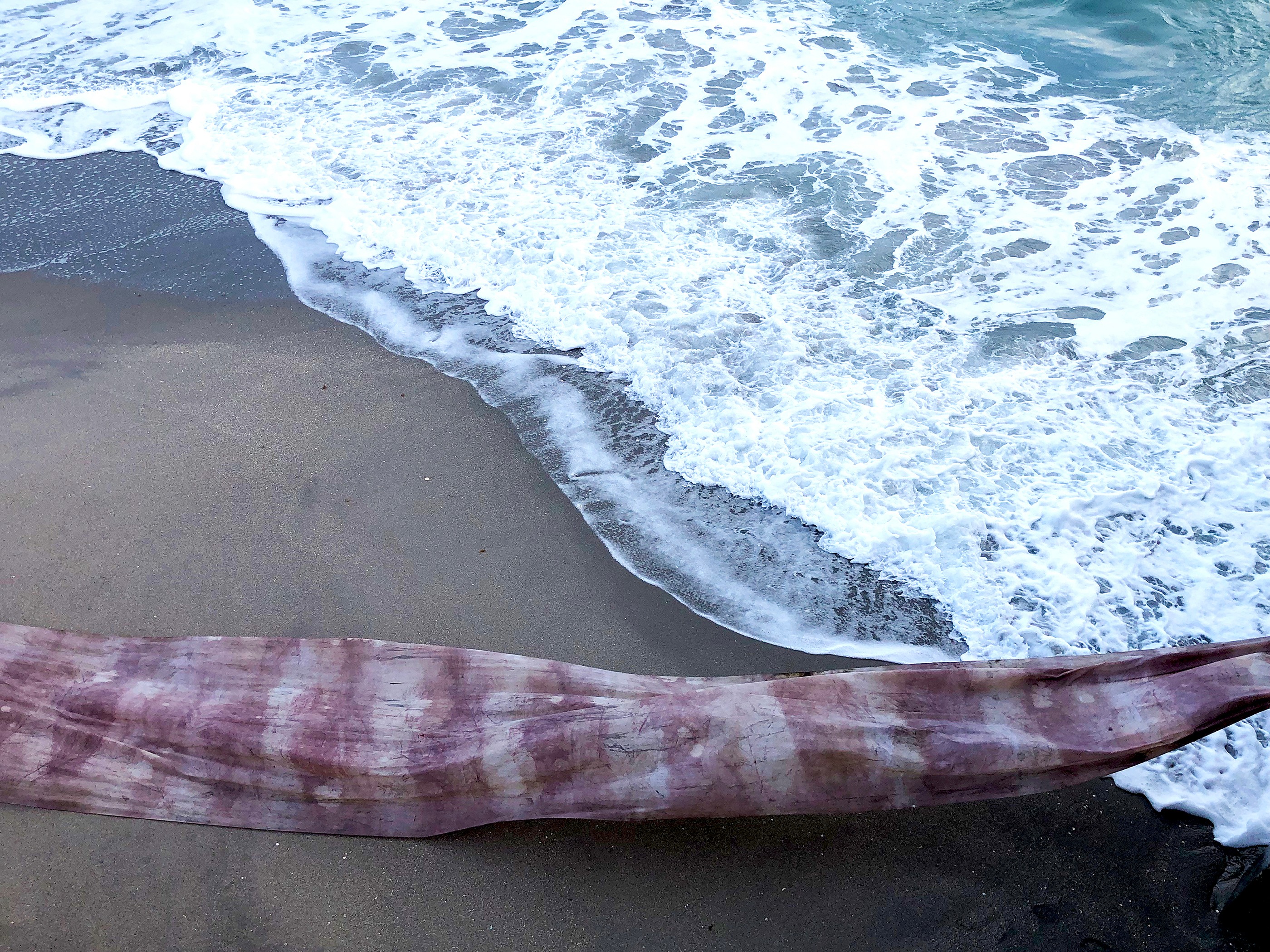 A long, striped object lies on a sandy beach near the water's edge with waves washing ashore.