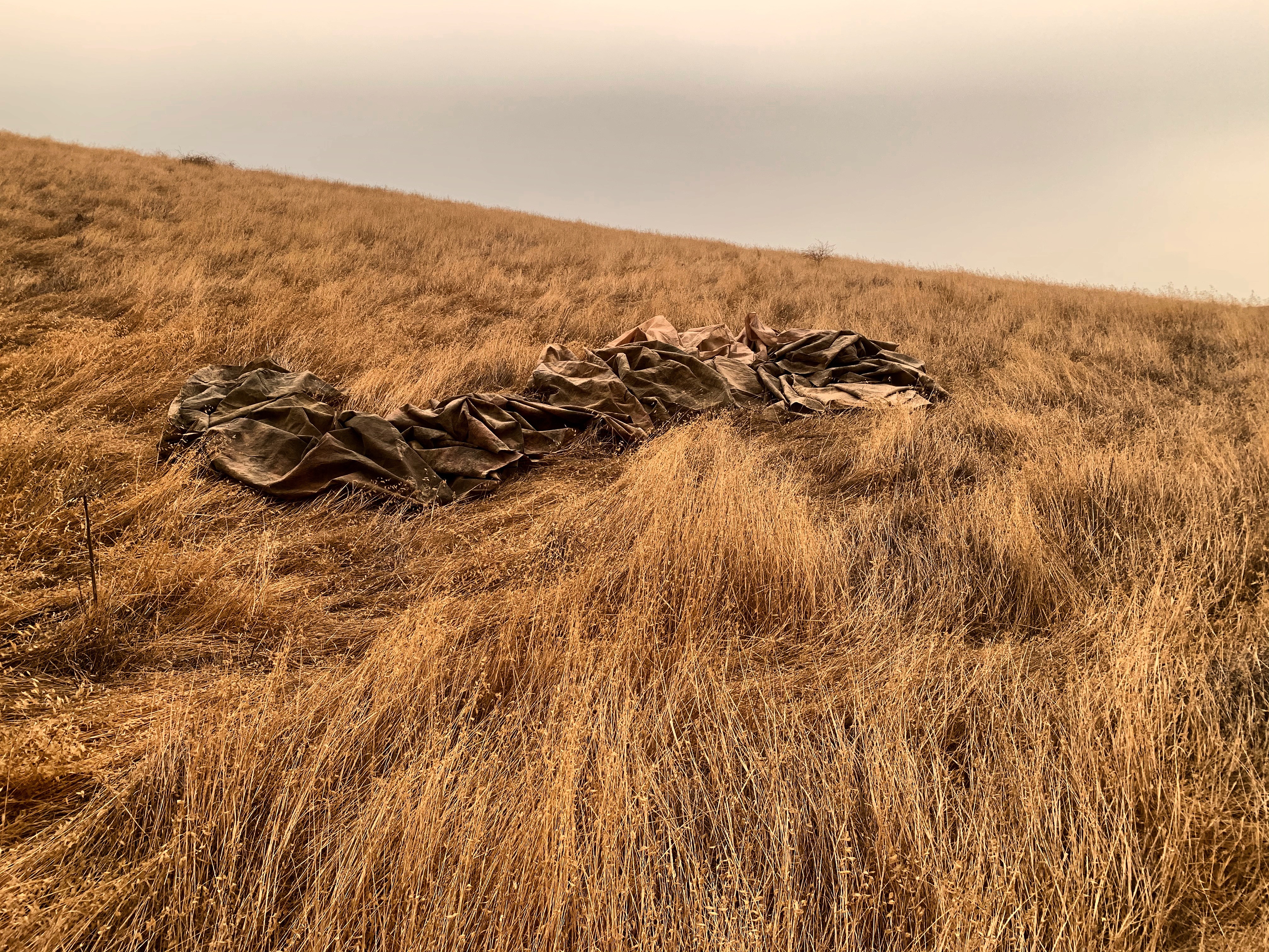 Dry grassland with a large, crumpled piece of fabric or material lying on the ground, under a cloudy sky.